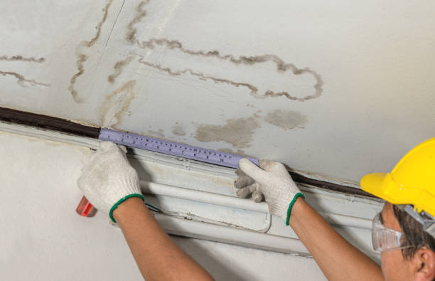 Reliable Water Damage contractor in Georgetown, CA by Water Damage Irwin